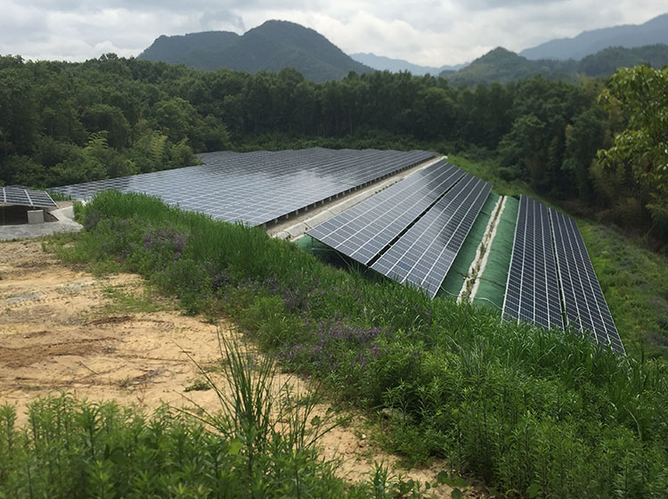 香川県木田郡三木町太陽光発電所